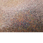 Star Brite Squad