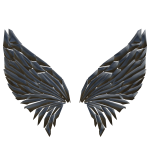 Silver Wings of Moonlight