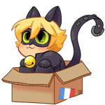 -Miraculous Roblox-