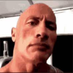 Papu Osito_notFake