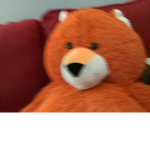 I’m a fox boi