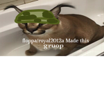 FLOPPA ARM