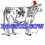 Doctor Cow