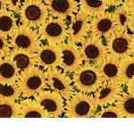 SUNNY’S FOREVER , Made by : Alicetea1234
