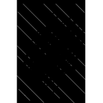 Zebra Ship Studio