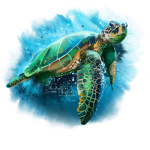 +Turtle Community+