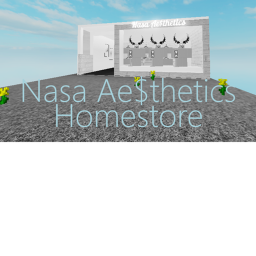 NASA Aesthetics Store