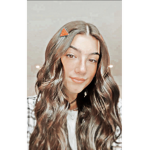 Charli_fan_Dunkin