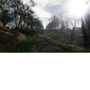 PBR Forest