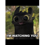 ToothlessWannabe's