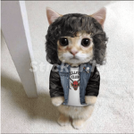Club de el gato