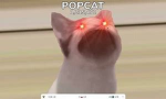 POPCAT HANGOUT :)