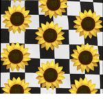 Sunflower sky’s