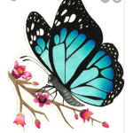 Butterfly groupie