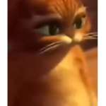 Meow meows are Cute