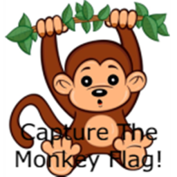 Capture The Monkey Flag!