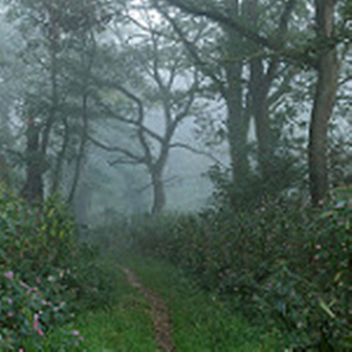 in the making of a store**