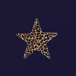 nevrmore academy