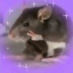 baka rats