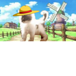 One Piece Kitten Obby