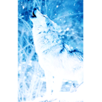 Chileno de corazón
