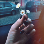 aesthetics♔