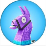 Llama power squad