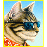 Vortex Security: kool kats