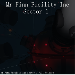 Mr Fin n Facility Inc