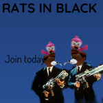 THE RATS IN BLACK