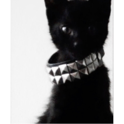 :33