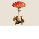 Mushroom family unite