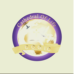 New Connection Of Christ