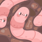 worm squirm
