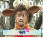애기 그룹