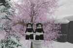 Ellex_