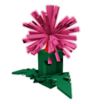 Firework Fern seed image
