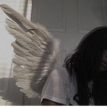 domestic angels