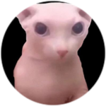 AarizGamingOnzz ARMY SUBS