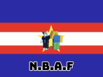 Noob & Bacon Agency Force (N.B.A.F)