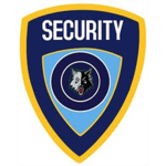 Heavy Security Division