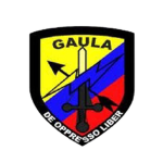 [EJNC] Grupos de Acción Unificada por la Libertad