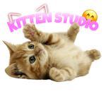 KITTEN STUDIO :)