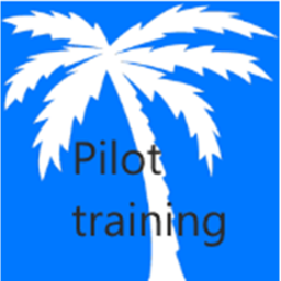 Piggy Pig Pilot Training
