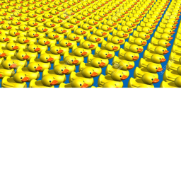 Lil_doggo's offical duck army hangout!
