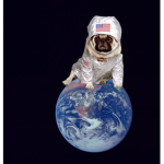 Dogslife group