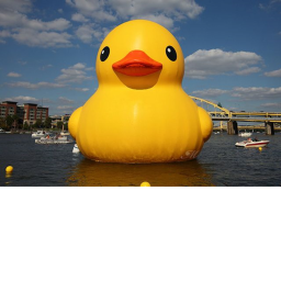 duckie hangout donation center???