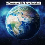Penguins Life in a Nutshell