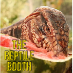 The Reptile Booth