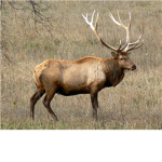 bighouseowner41's Group